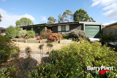 A Lucky Find Picture A Lucky Find Picture