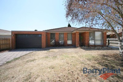 One Word: Spectacular Picture