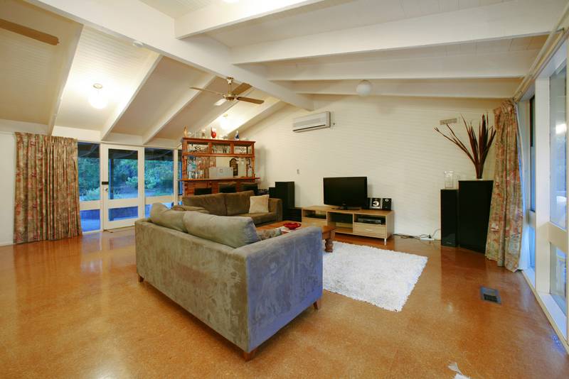 Golden Opportunity on 1 Acre Picture 2