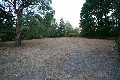 Golden Opportunity on 1 Acre Picture