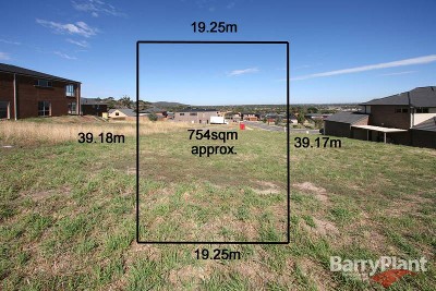 What a Grand View! Picture What a Grand View! Picture