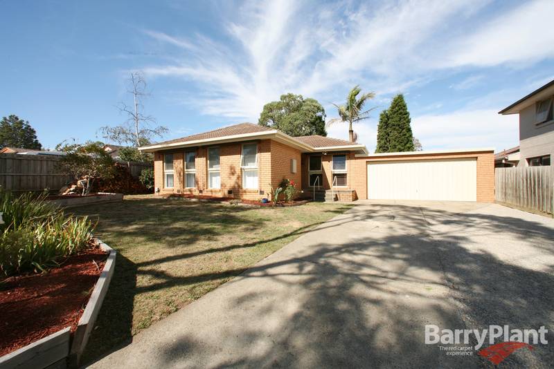 Take a Look at This Picture 1