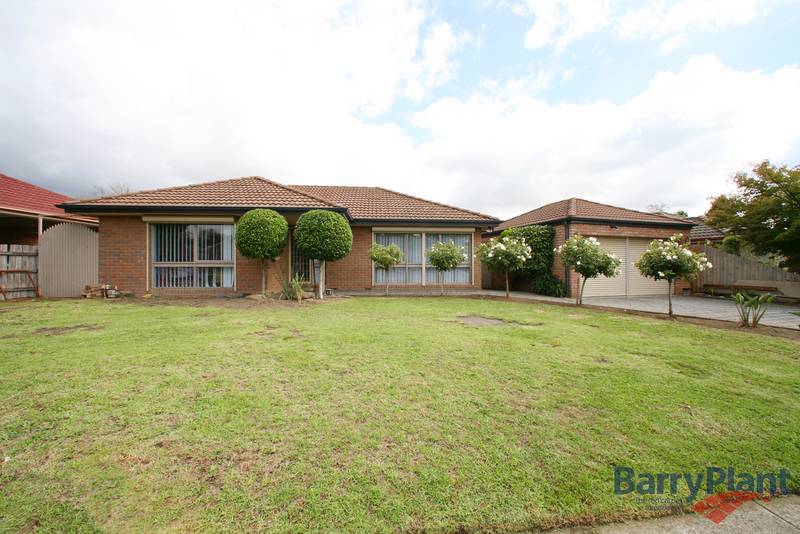 The Star Attraction Picture 1