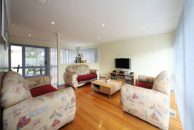 The Star Attraction Picture 3