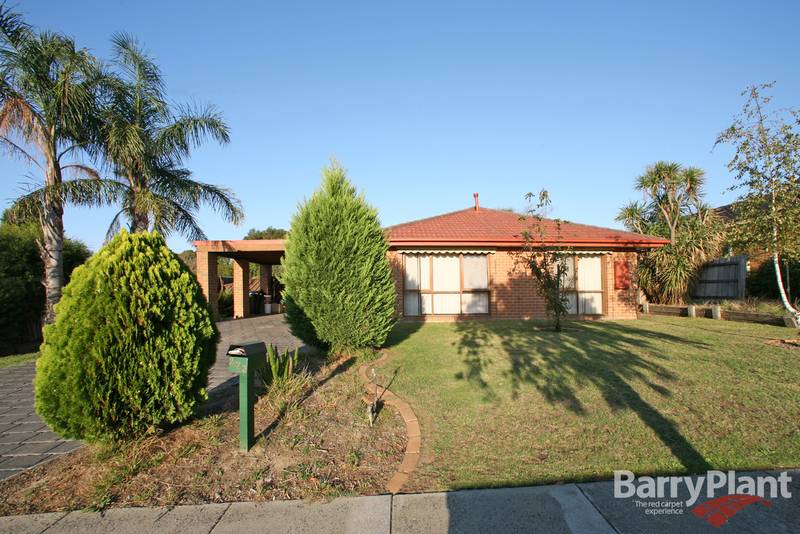 First Home or Investment Picture 1