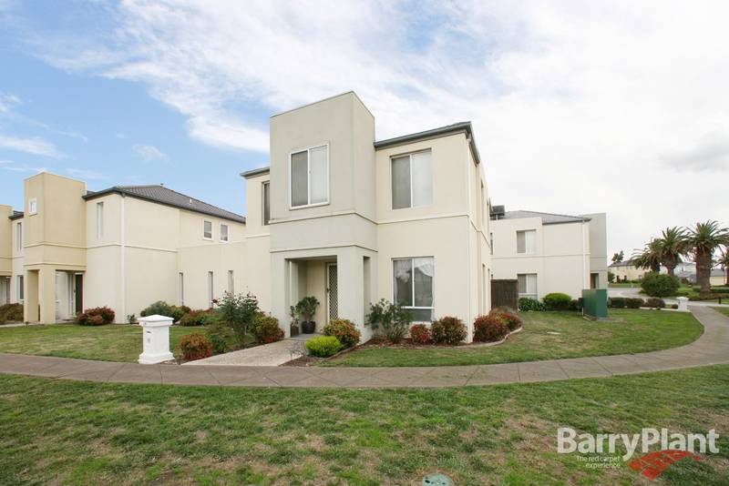 What a Winner Picture 1