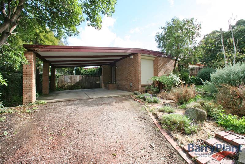 Look no Further Picture 1