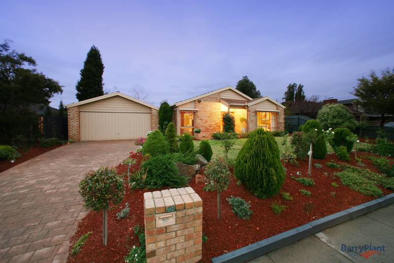 Patience Finally Pays Off Picture 1