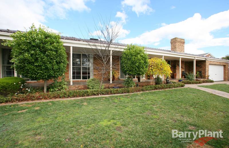 Quality And Personality Plus Picture 1