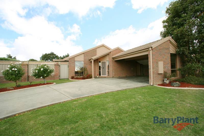 When Only The Best Will Do Picture 1