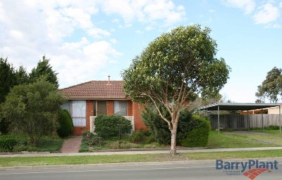 First Home Buyers Future Picture First Home Buyers Future Picture