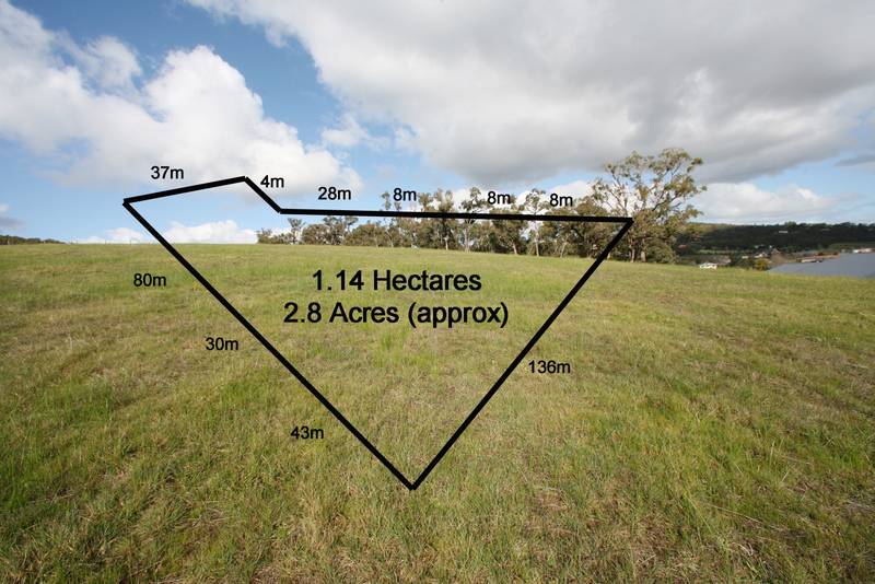 Live The Dream In Carrington 2.8 Acres Approx. Picture 2