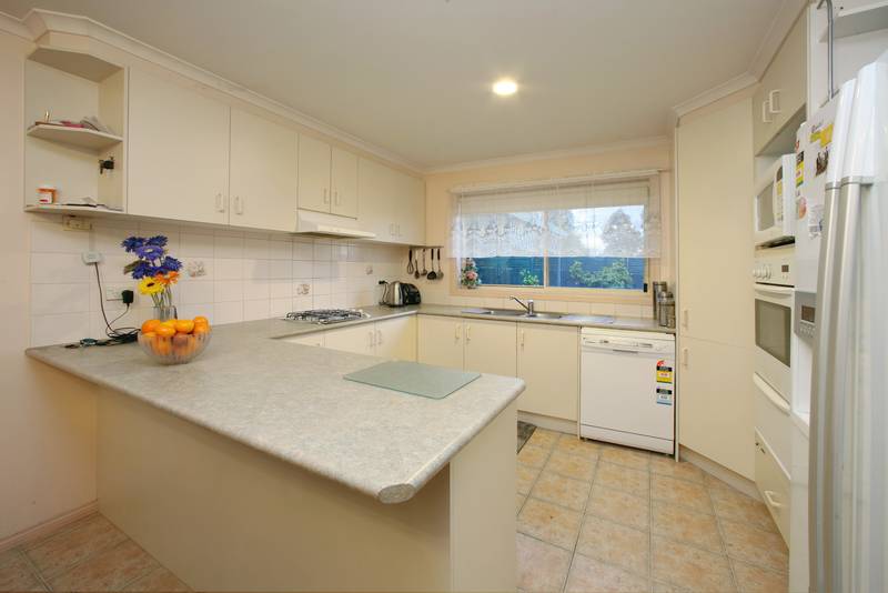 Showcase Presentation Picture 2