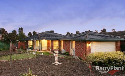 Showcase Presentation Picture Showcase Presentation Picture