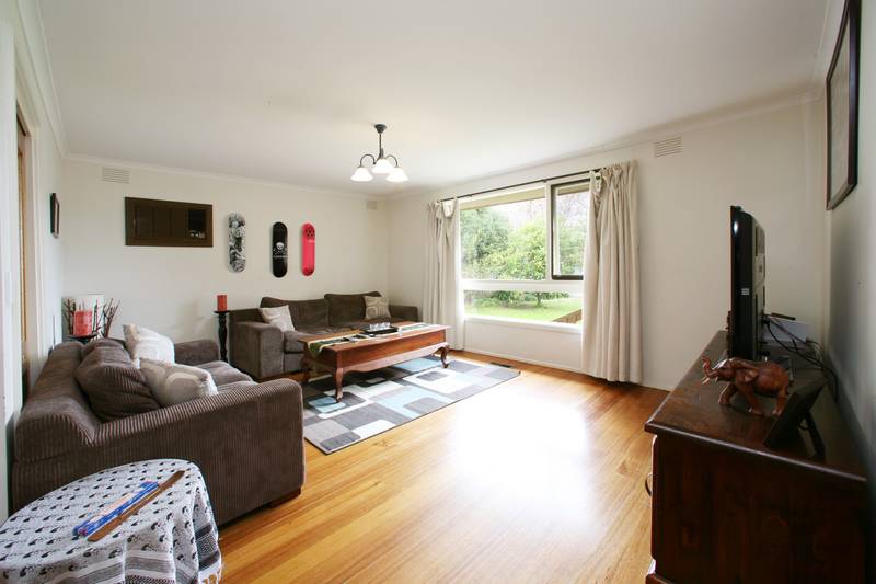 Step Right Up Picture 3