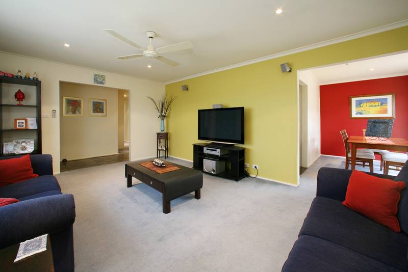 Beginners & Investors Dream Picture 3