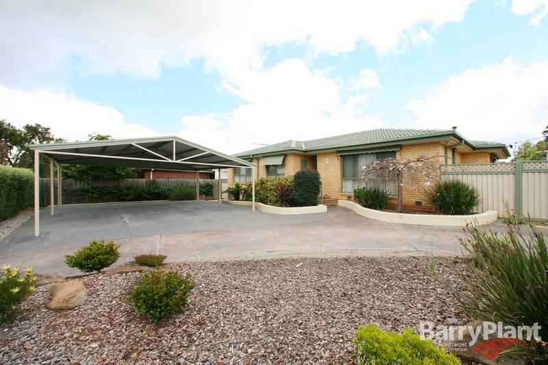 Beginners & Investors Dream Picture 1