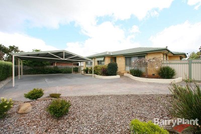 Beginners & Investors Dream Picture Beginners & Investors Dream Picture