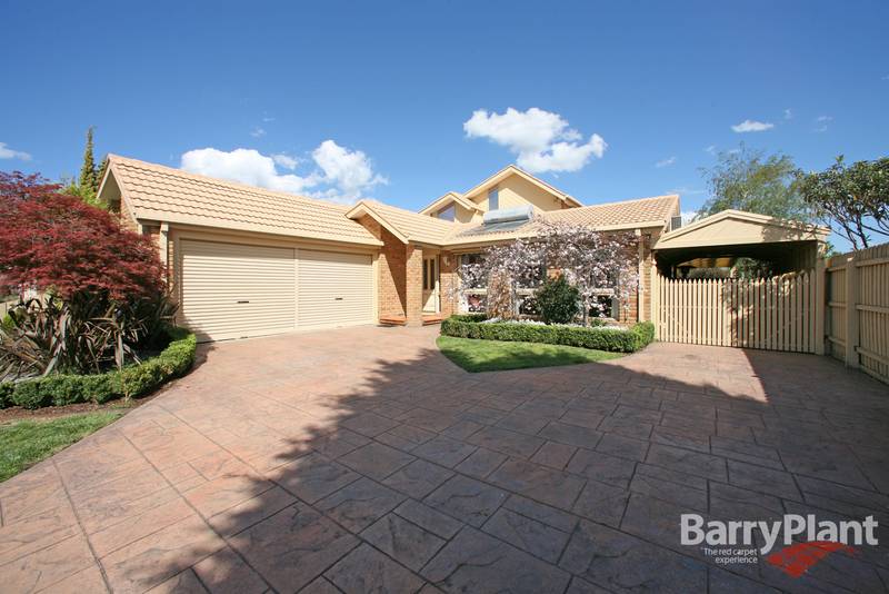 Neat and Complete Picture 1