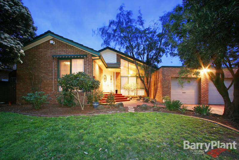 Position and Presentation Picture 1