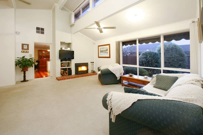 I've Got the Wow Factor Picture 3