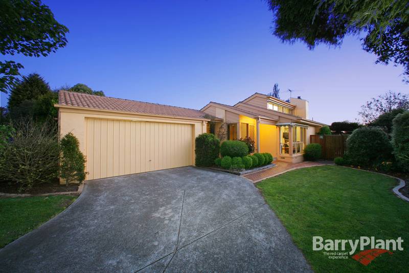 I've Got the Wow Factor Picture 1