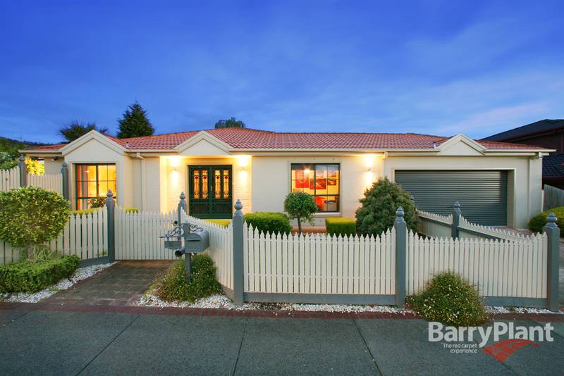 Ready for Summer Picture 1