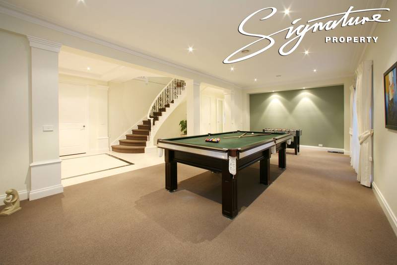 The Star Attraction in Carrington Picture 3