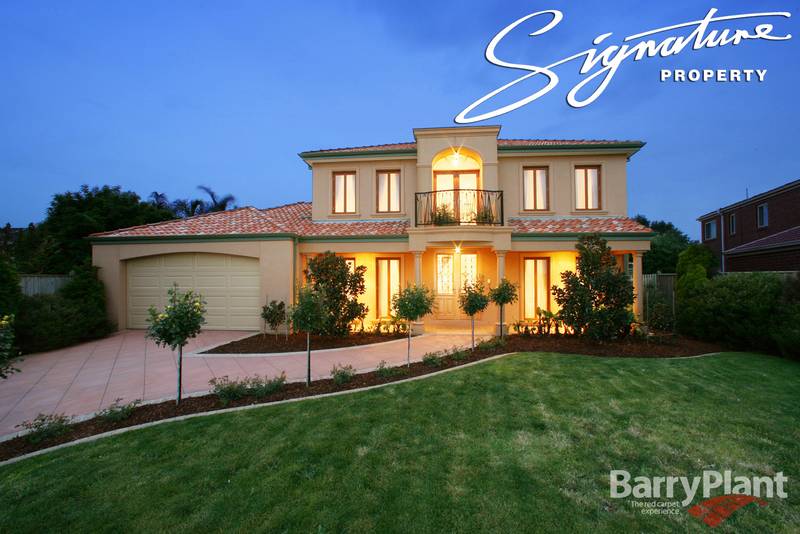 The Star Attraction in Carrington Picture 1