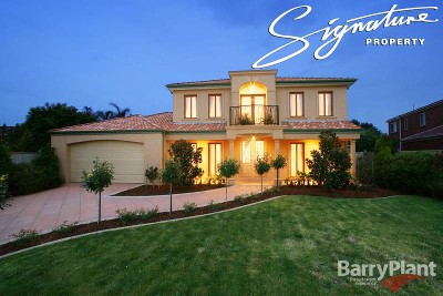 The Star Attraction in Carrington Picture The Star Attraction in Carrington Picture