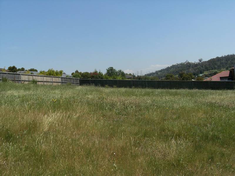 Build Your Dream on 1/2 Acre Picture 2