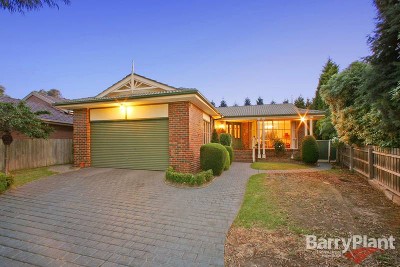 Something Special Picture Something Special Picture