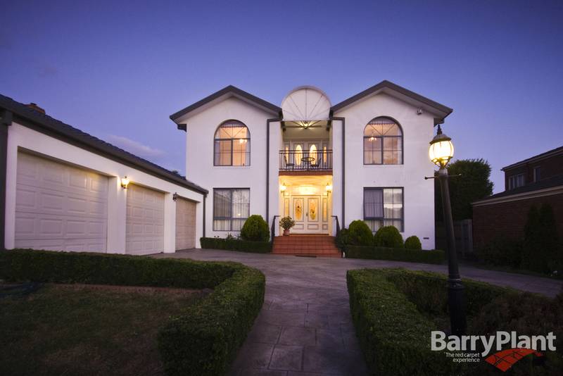 Youth with Size and Style Picture 1