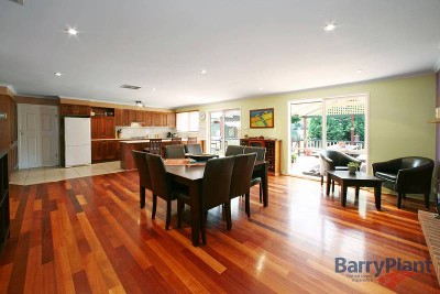 Vibrant Open Plan Living Picture