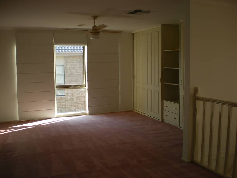 BIG, BOLD & BEAUTIFUL! Picture 3