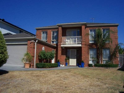 BIG, BOLD & BEAUTIFUL! Picture BIG, BOLD & BEAUTIFUL! Picture