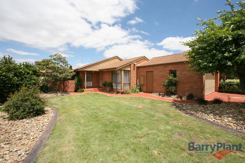 The Things You Love Best... Picture 1