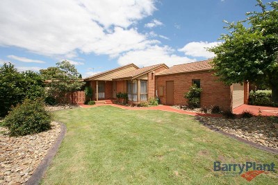 The Things You Love Best... Picture