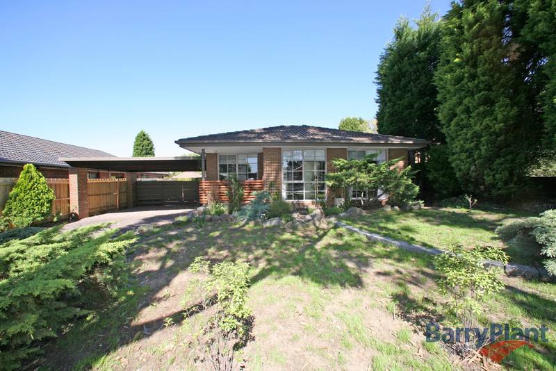 Not Just a Pretty Face Picture 1