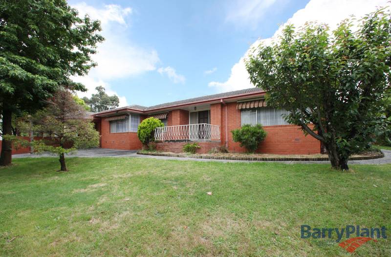 A Warm Welcome Everytime Picture 1