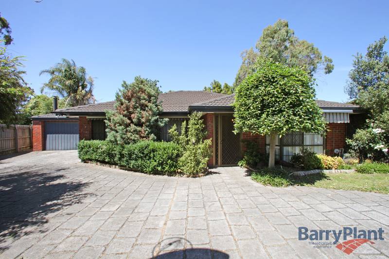 An Untouched Paradise Picture 1