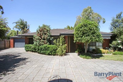 An Untouched Paradise Picture