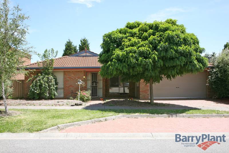 Position Perfect Picture 1