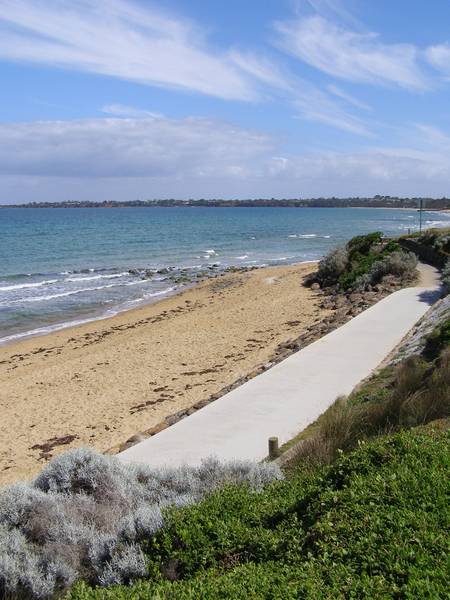 Picture Perfect Parkdale Picture 3