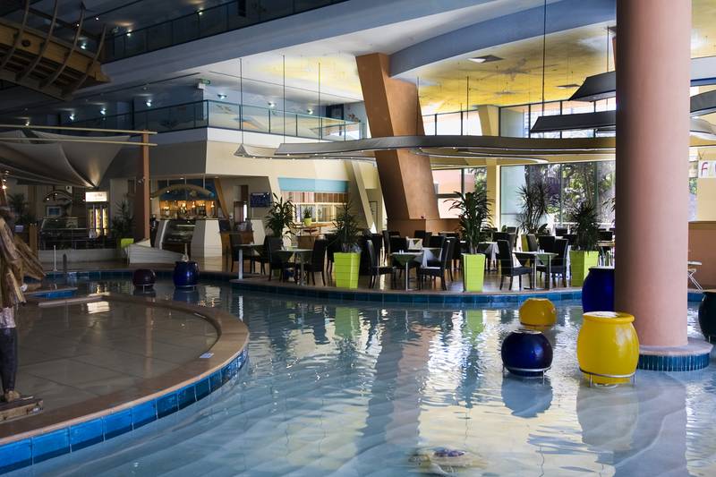 Pool Paradise Picture 3