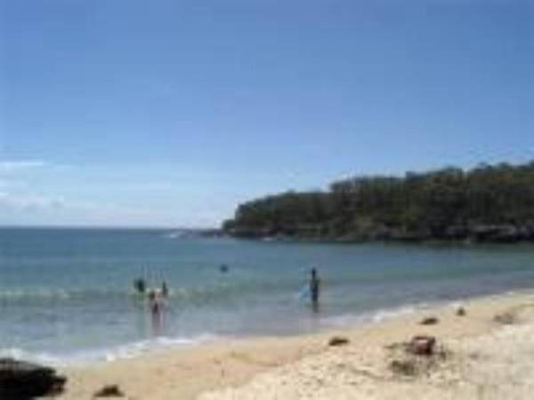 The Blue Turtle Picture 2