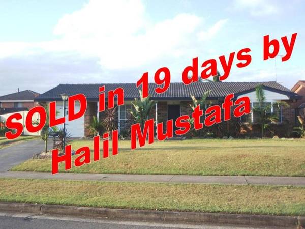 PERFECTION Picture 1