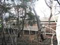 Substantial Home On 14 Acres of Tranquil Bushland Picture