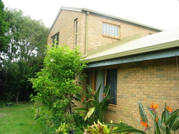 Double Storey Delight Picture 3