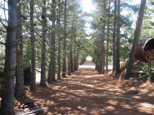 Tranquil Setting - 10 Acres with views Picture 2